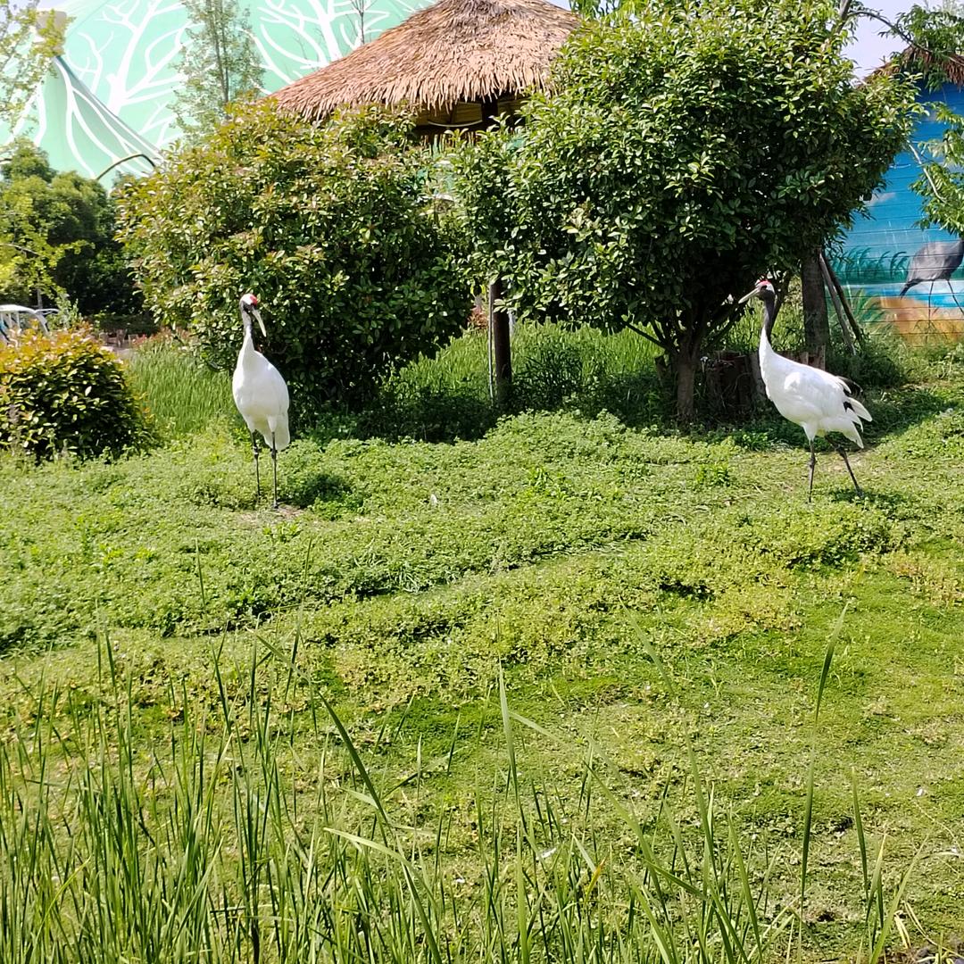 只管努力其他的交给天意