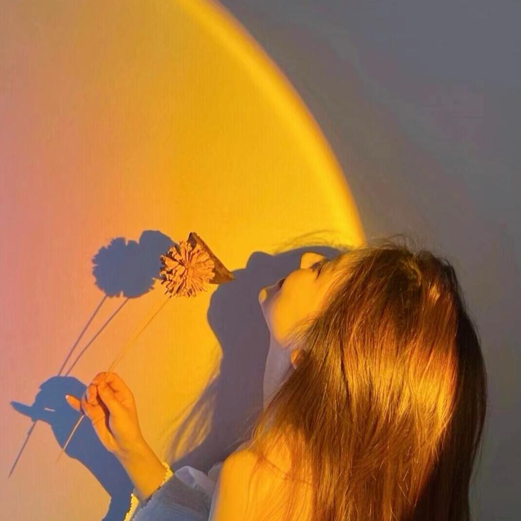 桐花飘热带兰花