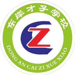 上蔡县东岸才子学校