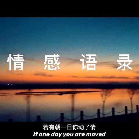 情感语录ᥫᩣ¹⁹⁹⁵