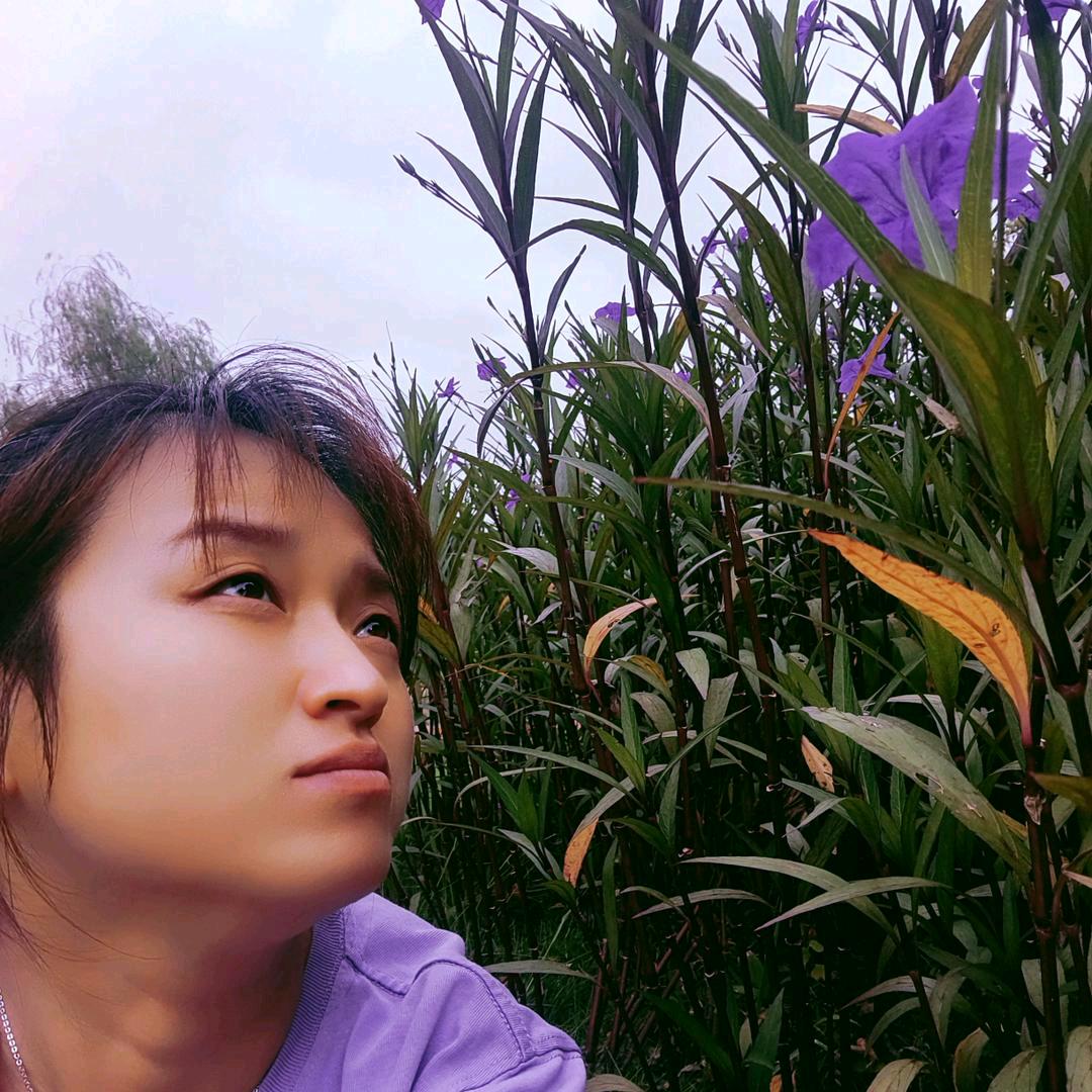 听风☔静看花开