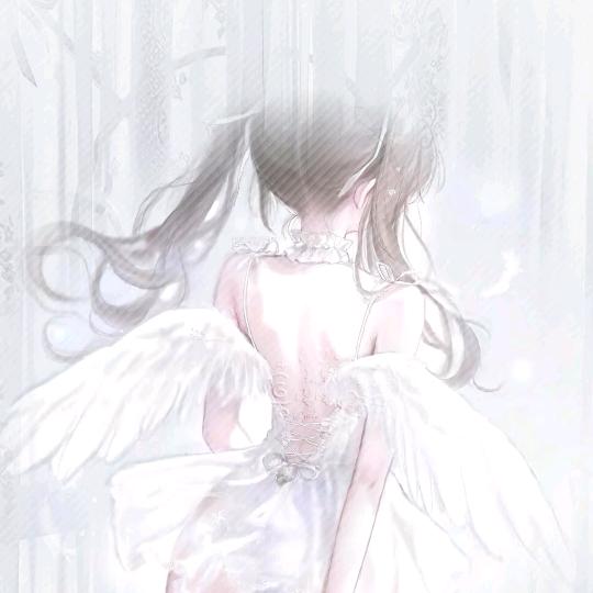 刚刚睡醒🦋