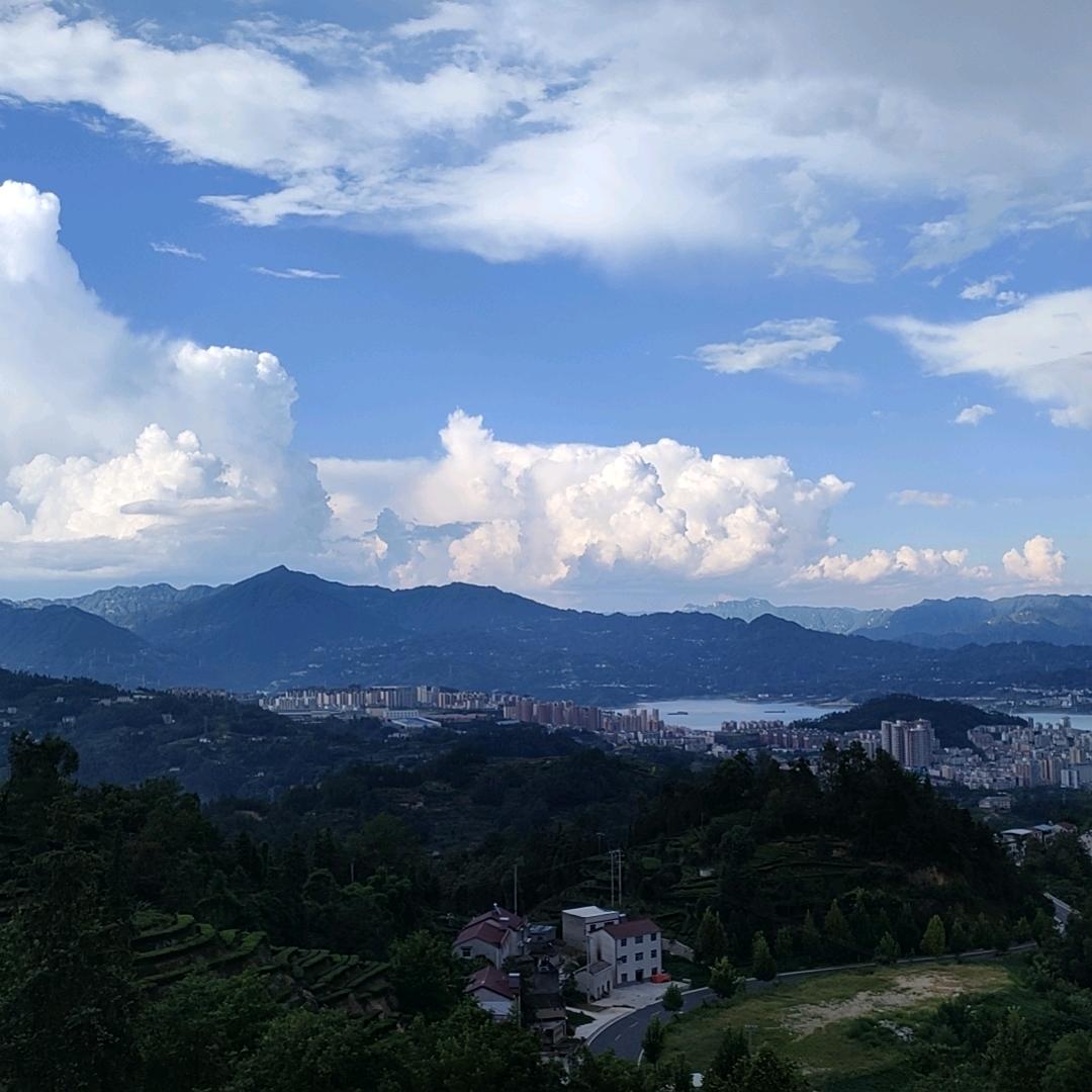 A夏天