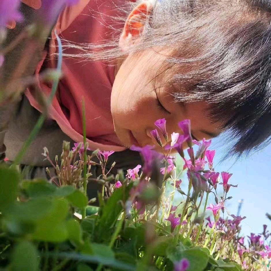 🌸幸福像花儿🌸