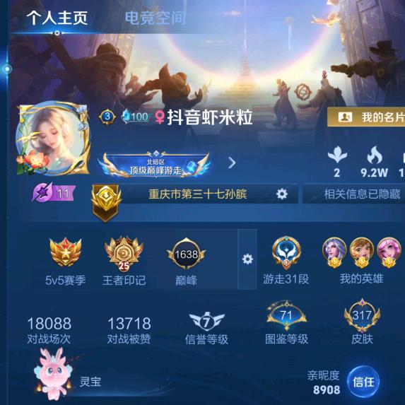 虾米粒（王者软辅）