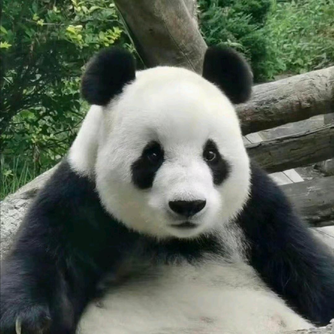 诗易哲思