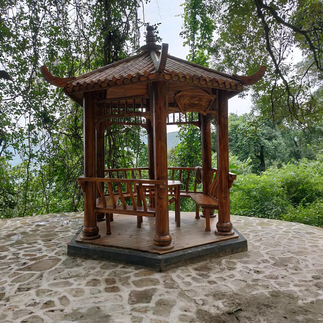 石屏县富博火龙果种植基地