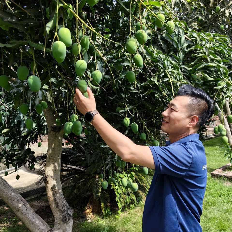 吱昂张聊农业