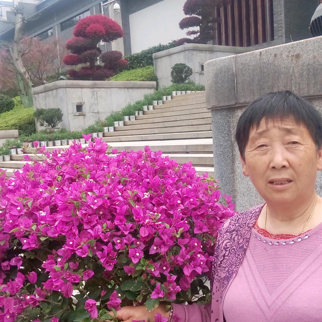 大草原