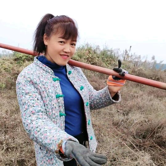 阜阳表嫂