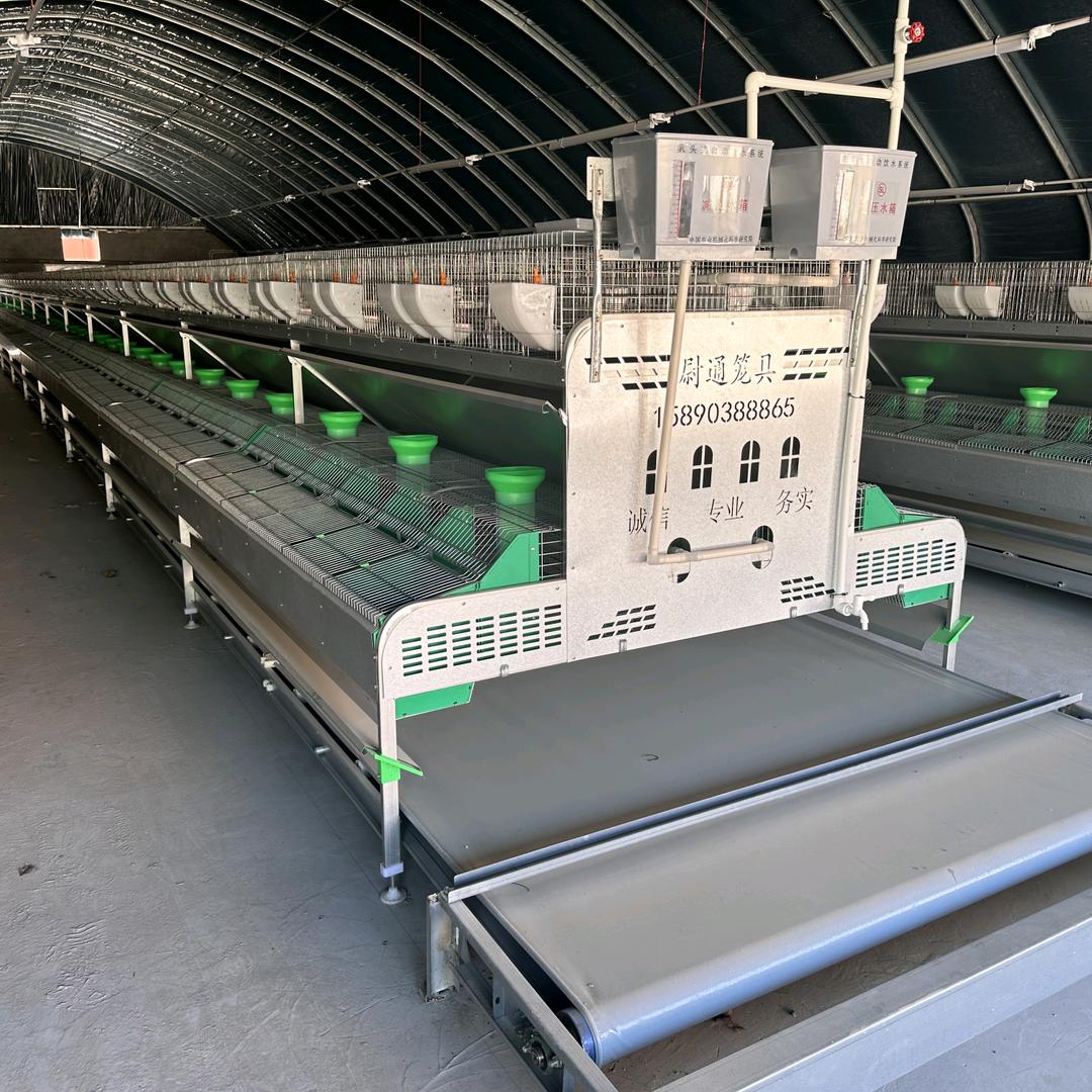 兔笼厂家尉通笼具