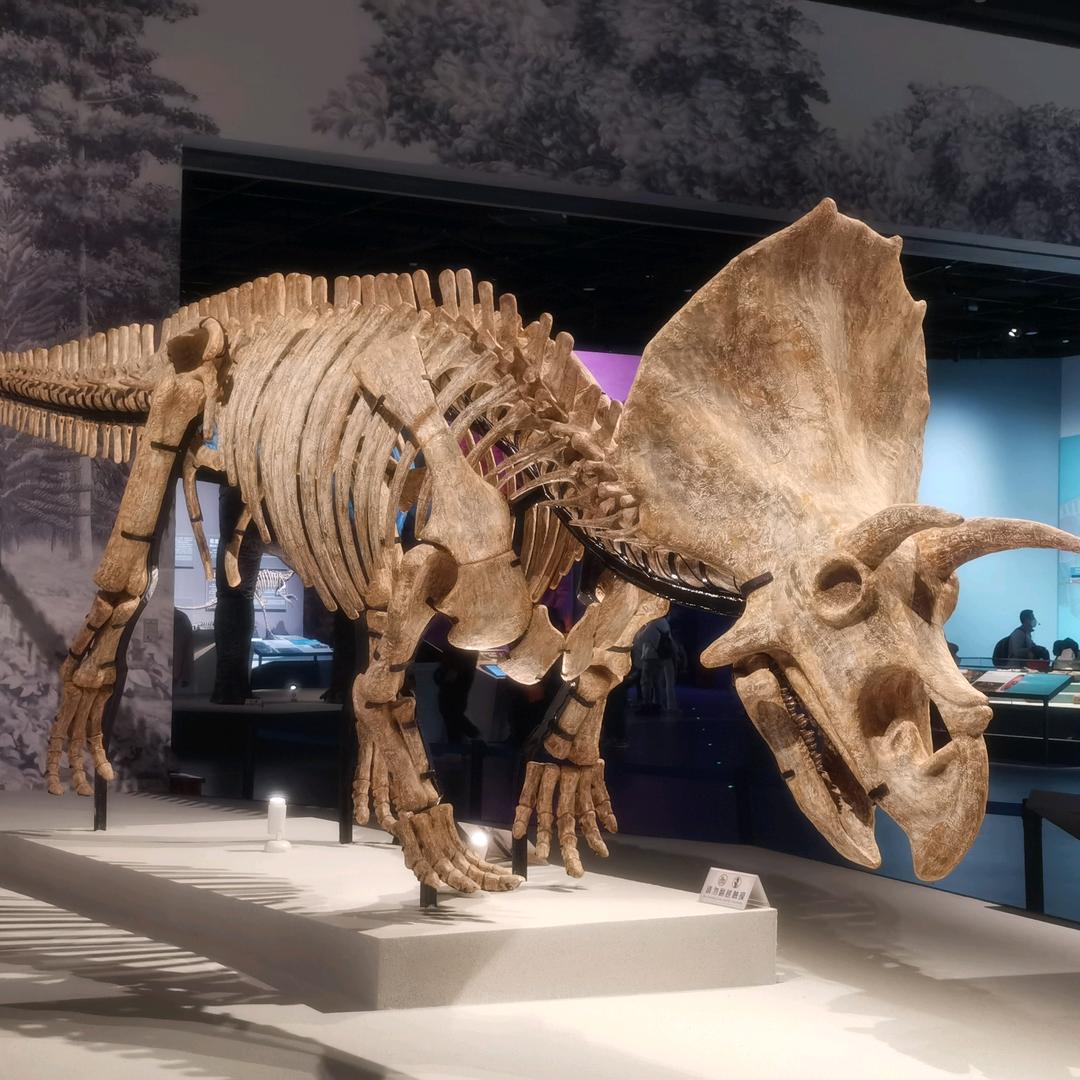 大魔王👿👿👿