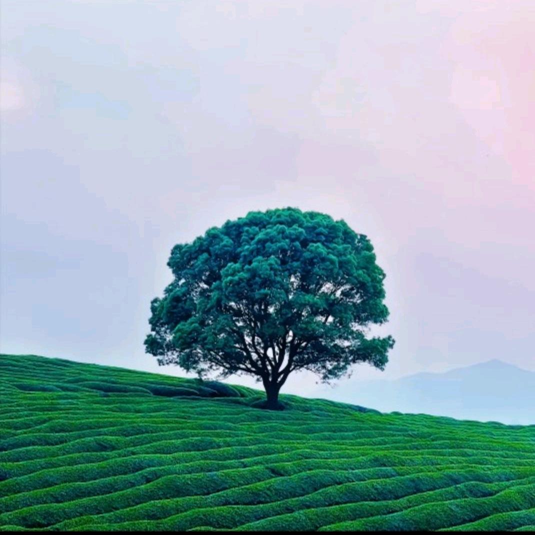 ♥有你的世界很美♥