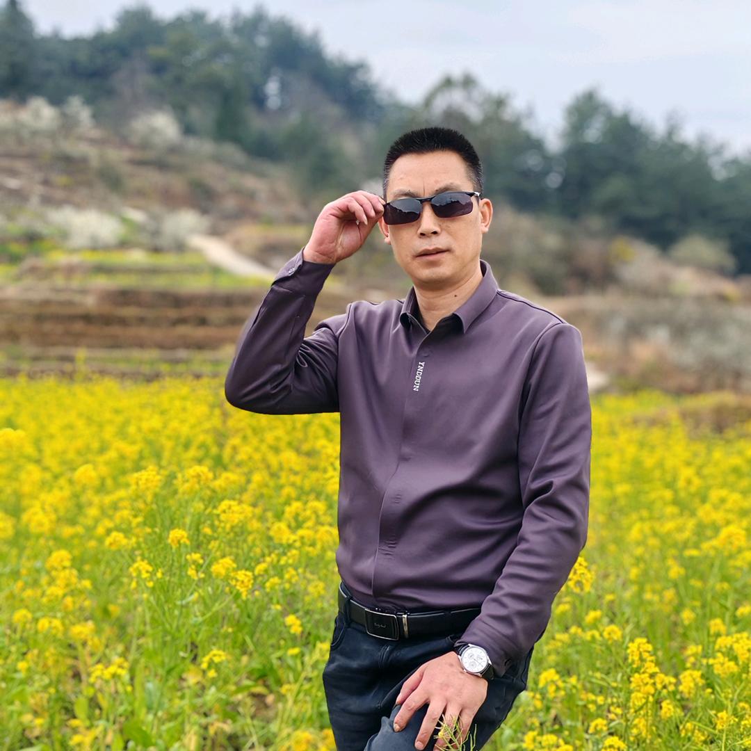 枫香树