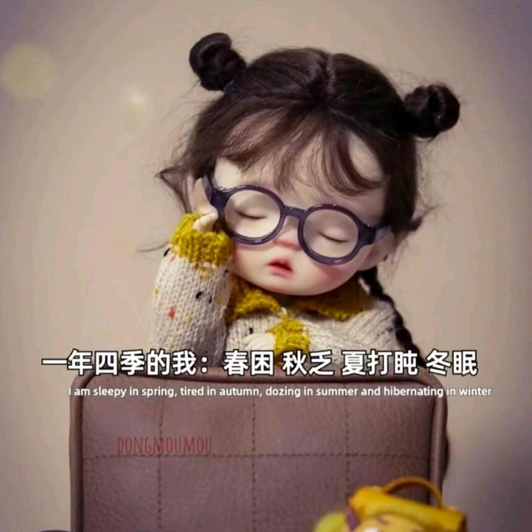 心新相惜（视频同款在橱窗）