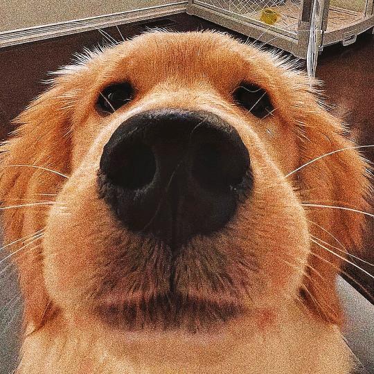 开心