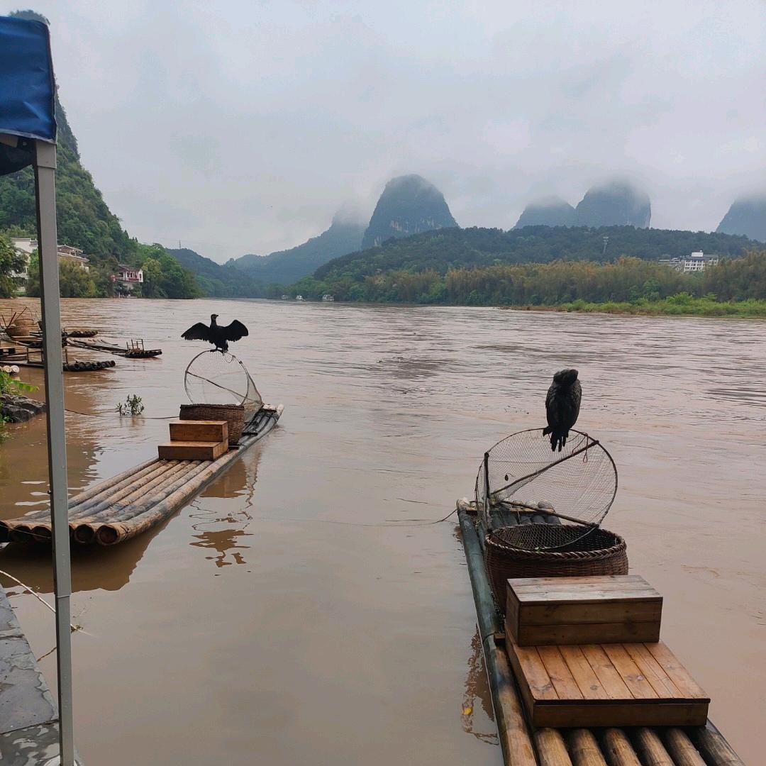 ♥(｡￫山里人v￩｡)