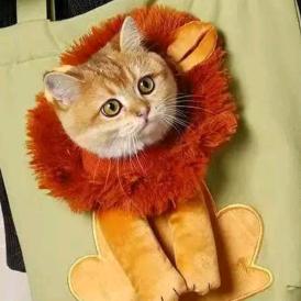 瑞瑞优品喵小汪