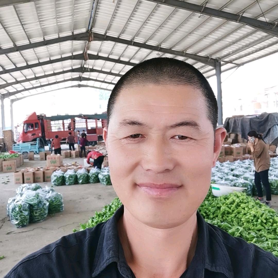 马哥，代收各种蔬菜