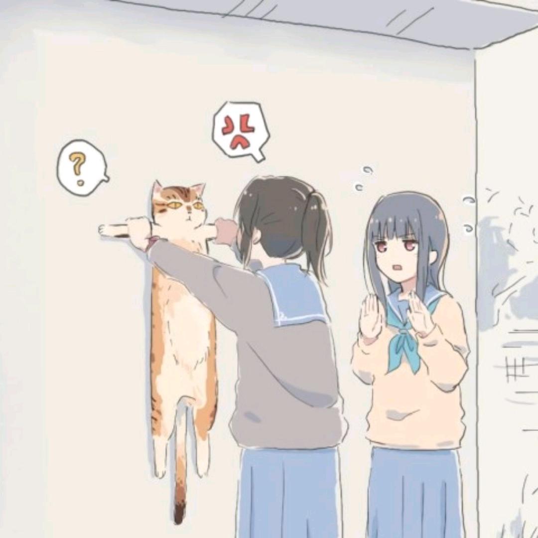 表酱紫