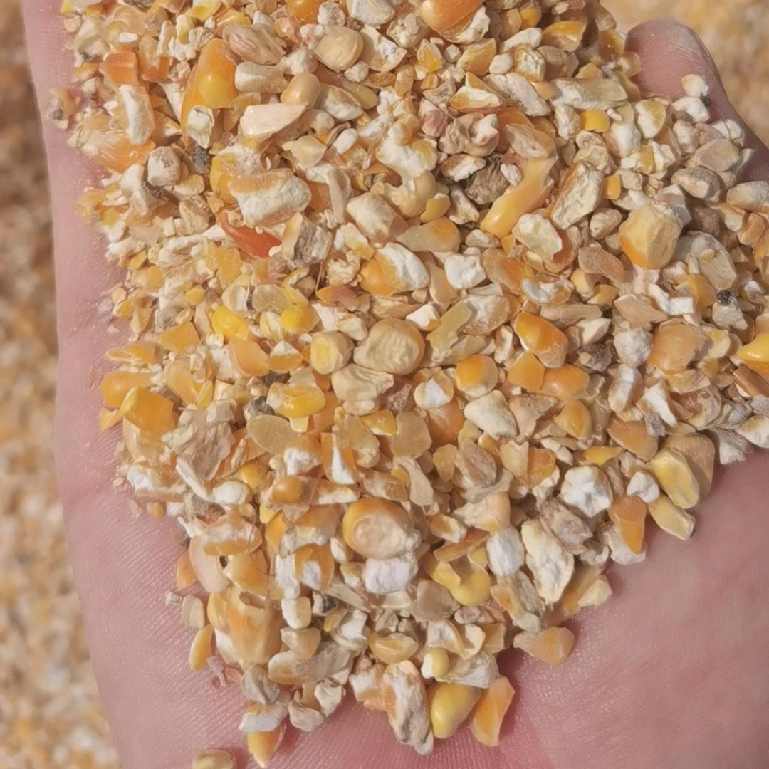 刘赛飞大量购销玉米杂志玉米渣