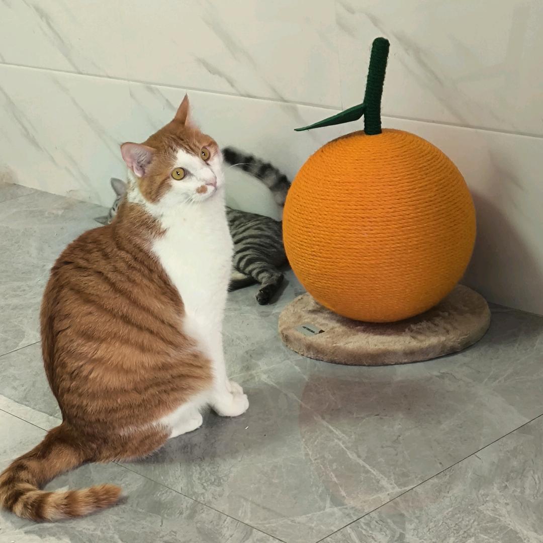 太空历险遵义国贸店懵子老师