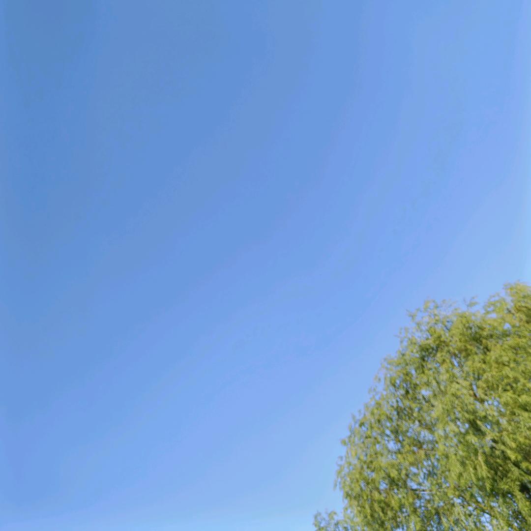 宇源中药材营业部