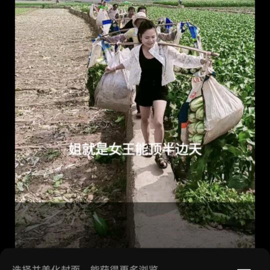 云南蔬菜虎姐
