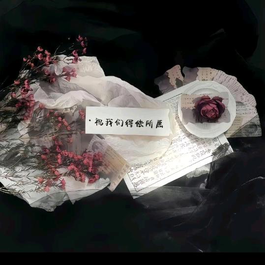 从头开始的我