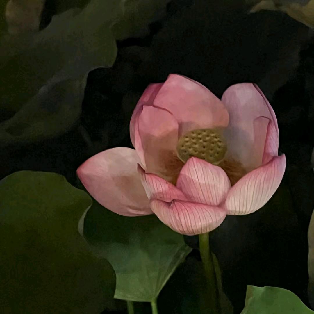 永恒的爱