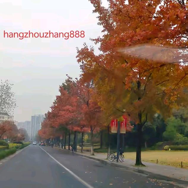 一言难尽《飞虎队》