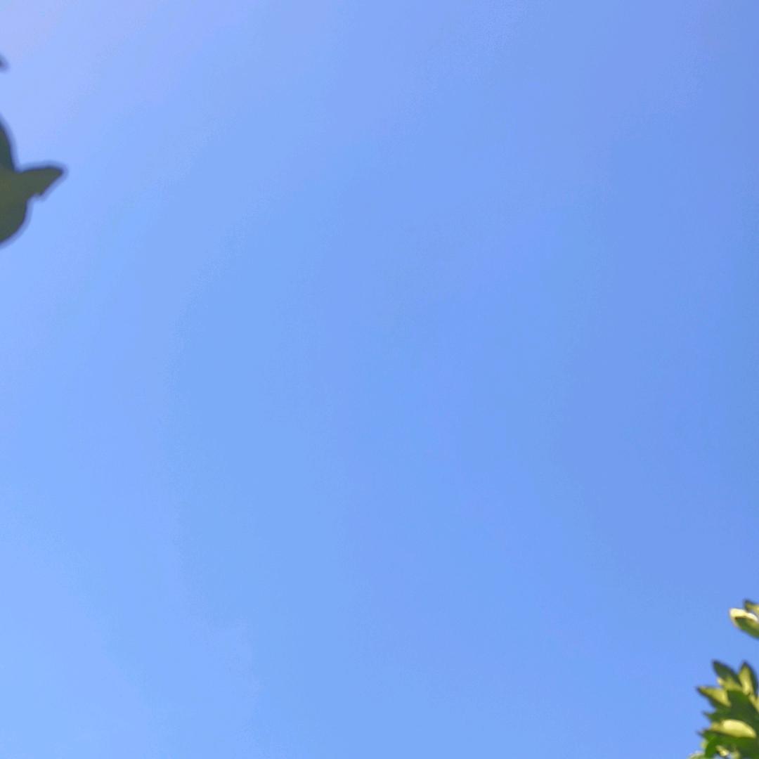 邻家小妹
