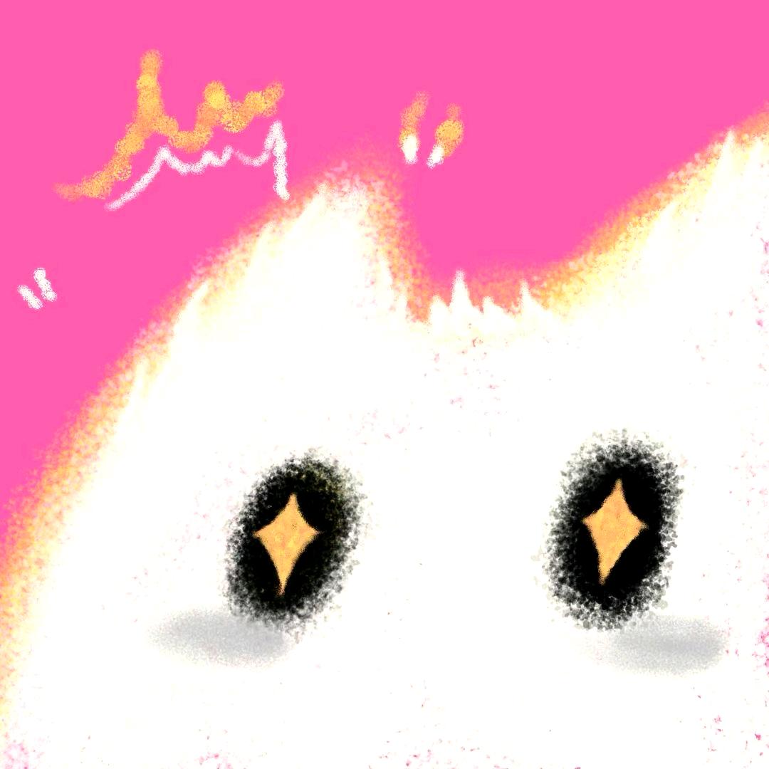 土豆爆改马铃薯🥔