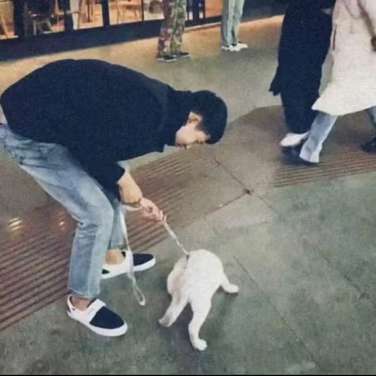 曾经沧海难为水