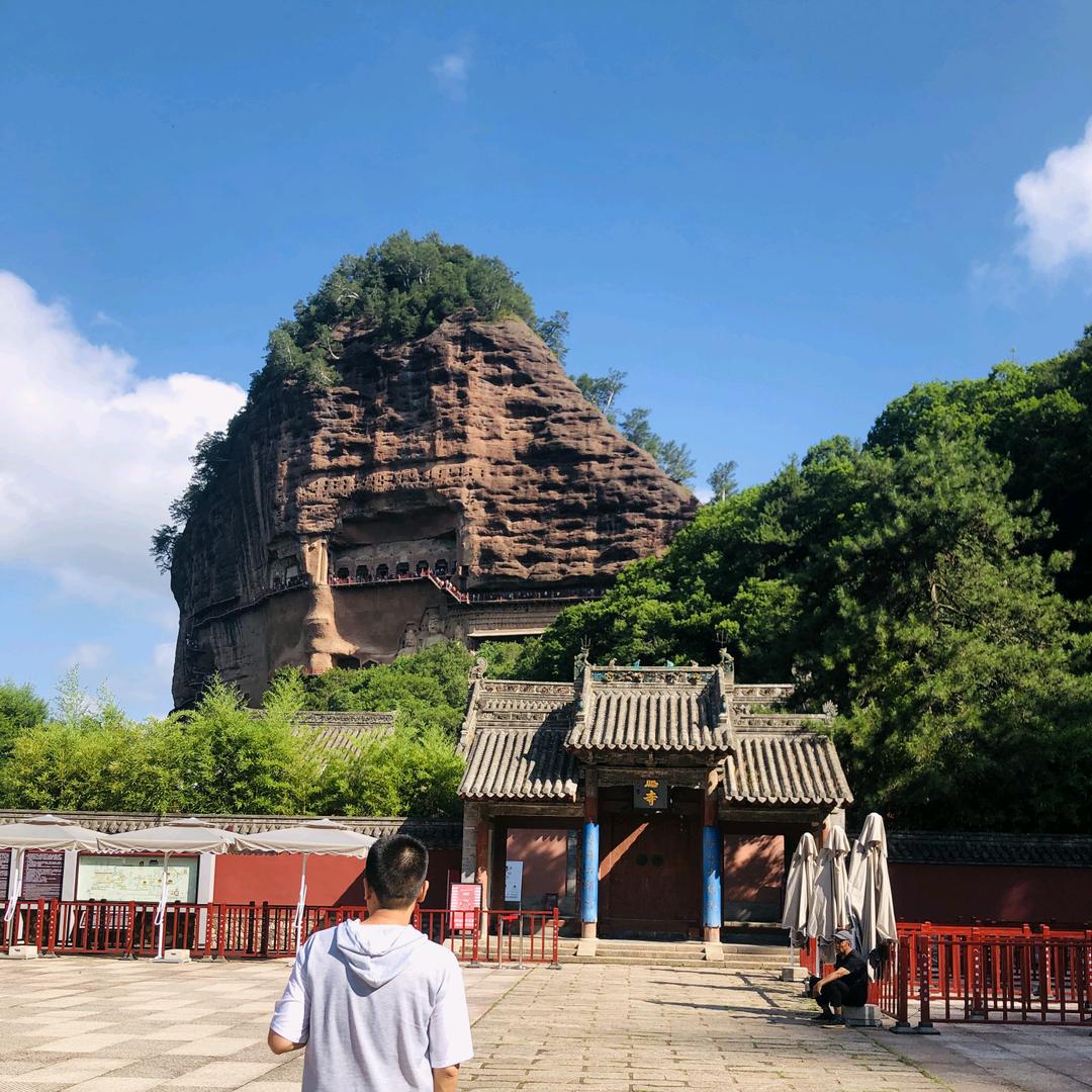 绿荫闲客