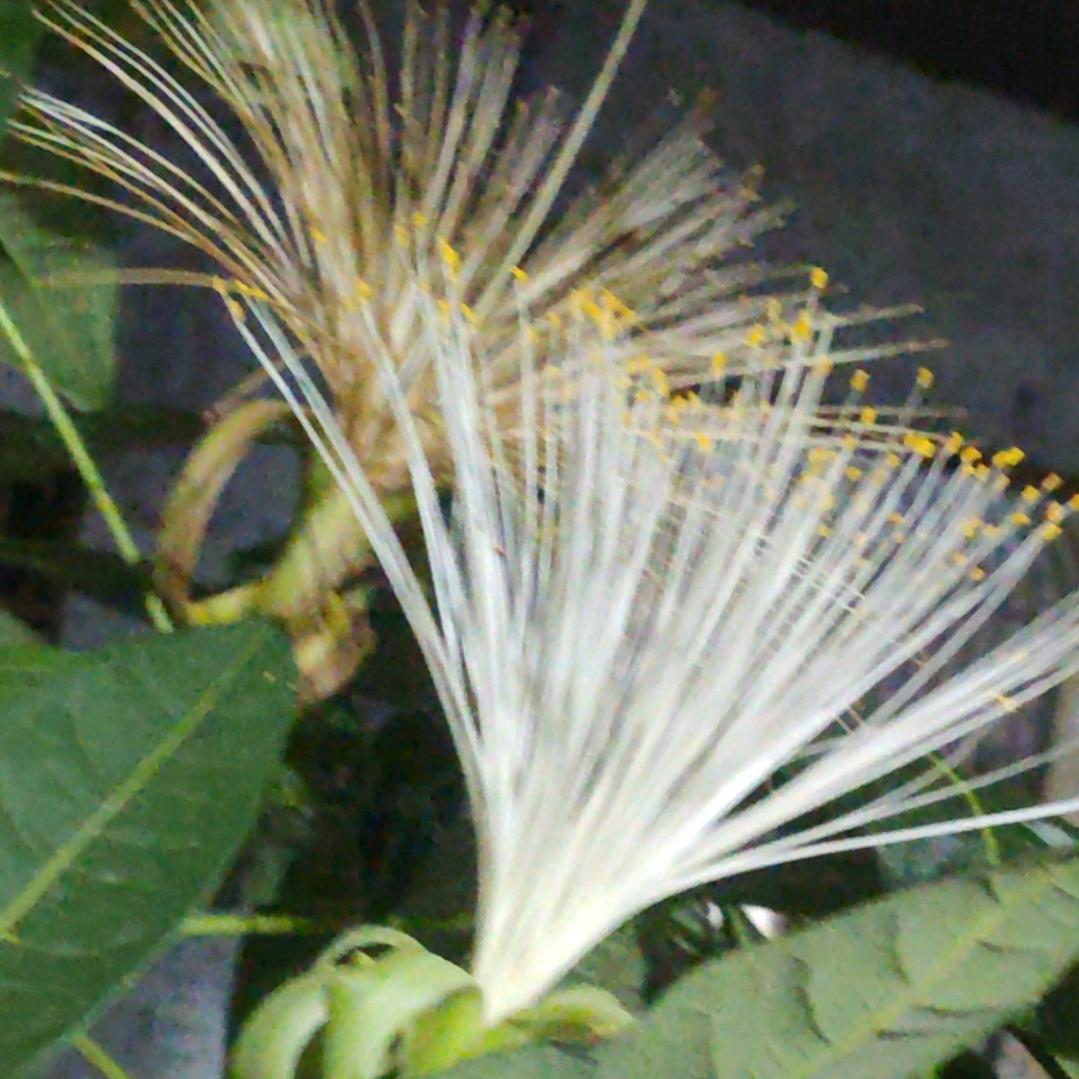 健康平安是福💕