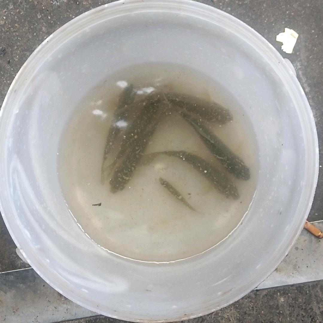 一二三