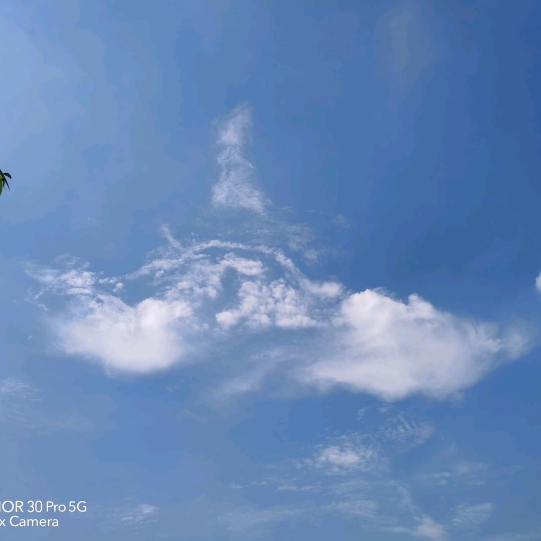 莱州市沙河镇云农机械销售处