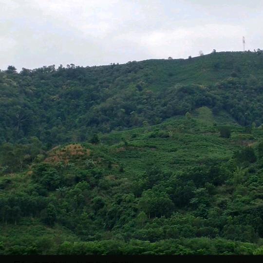 等待