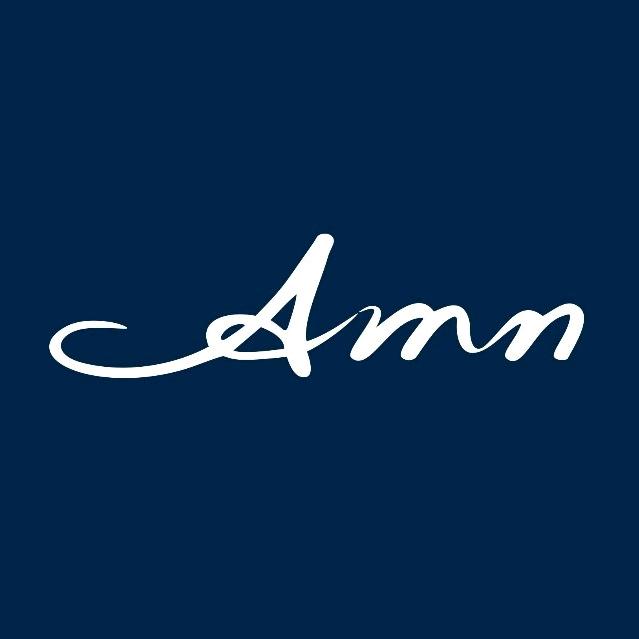 AMN阿米纳艺术音响