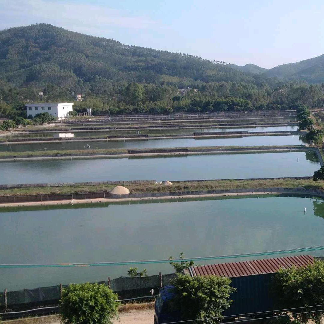 富甲一方