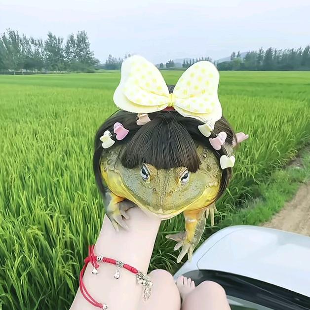 空空如也