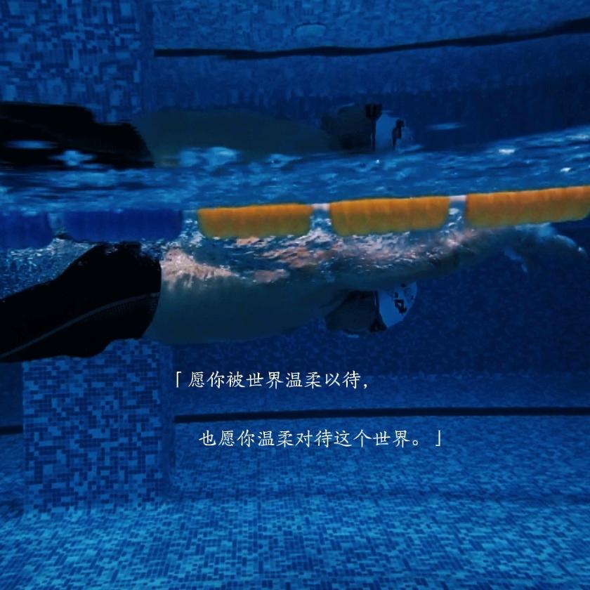 🌊朝碧海而暮苍梧