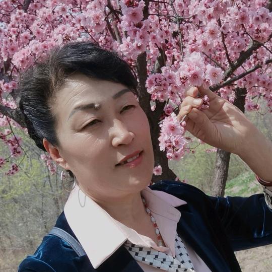 倾城玫瑰