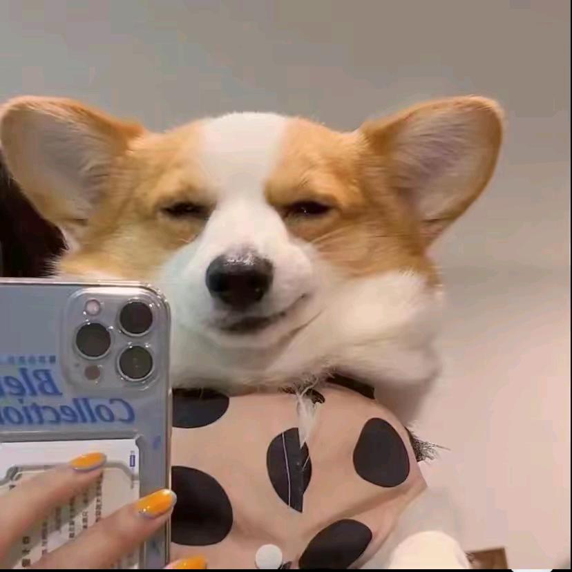 小老百姓