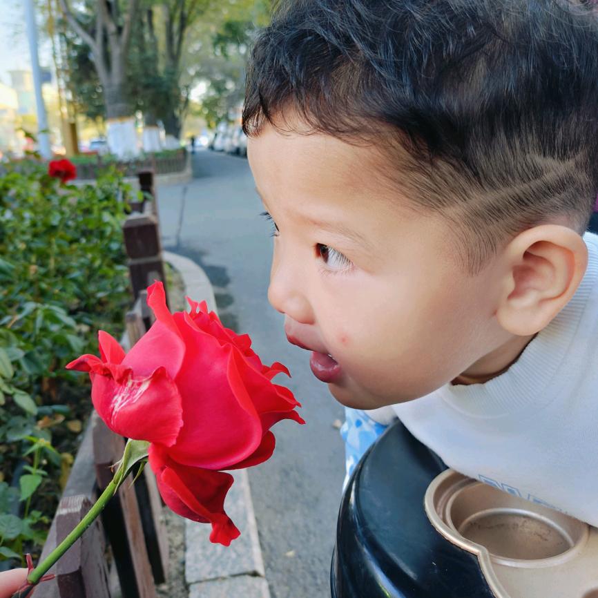 🎀开心果