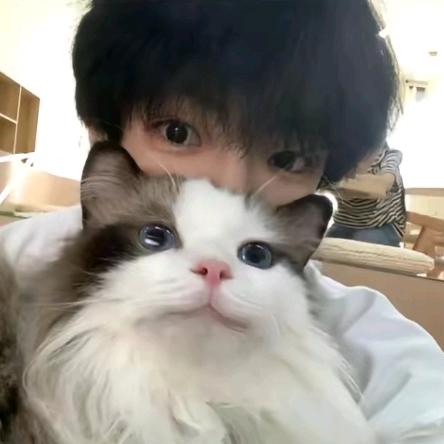 小组第八🏅（泰山田径）