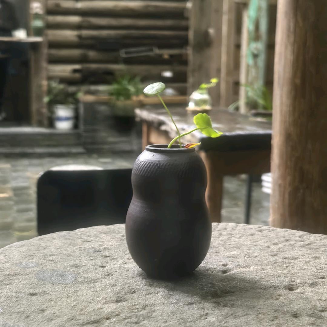 竹本