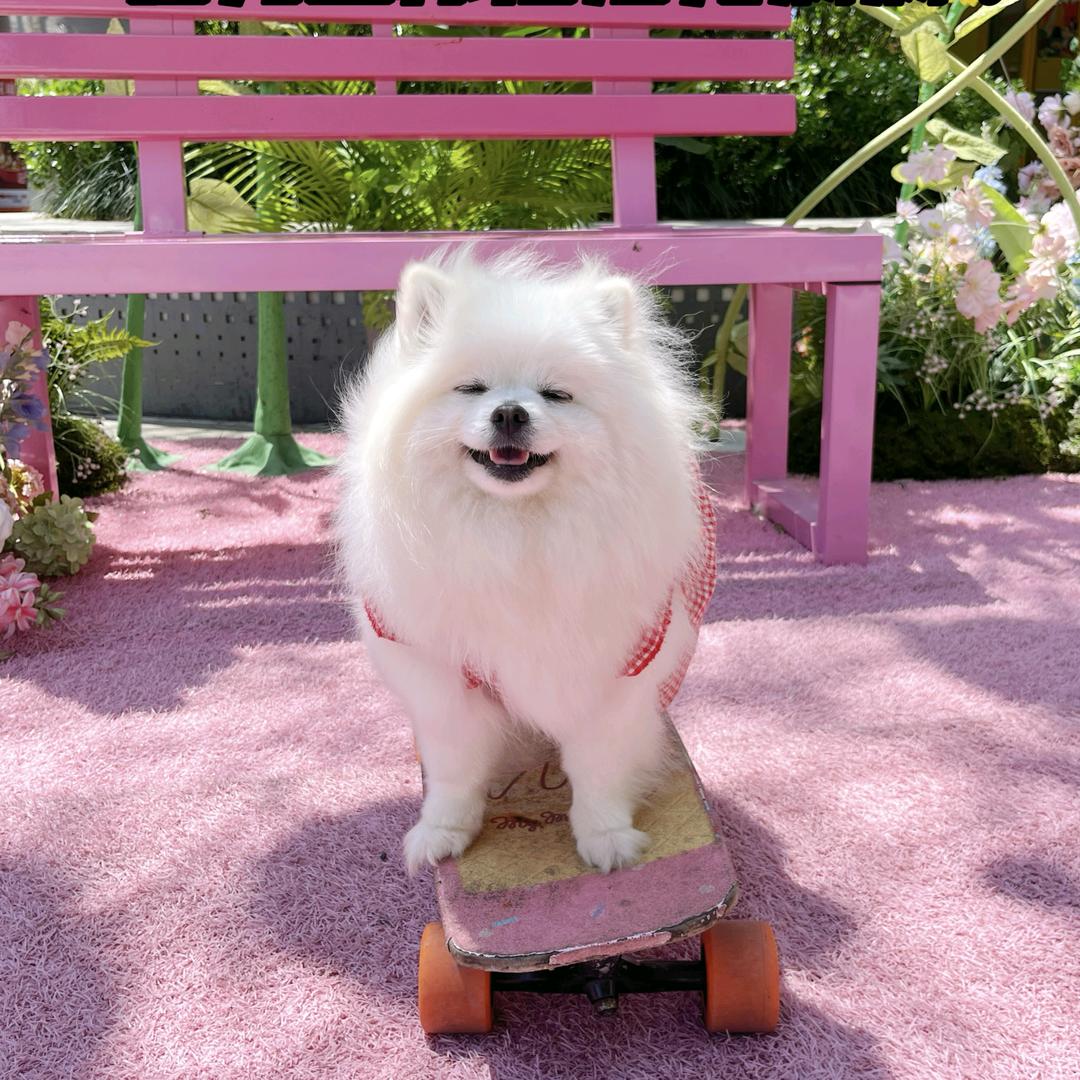 爱滑板的胡萝卜