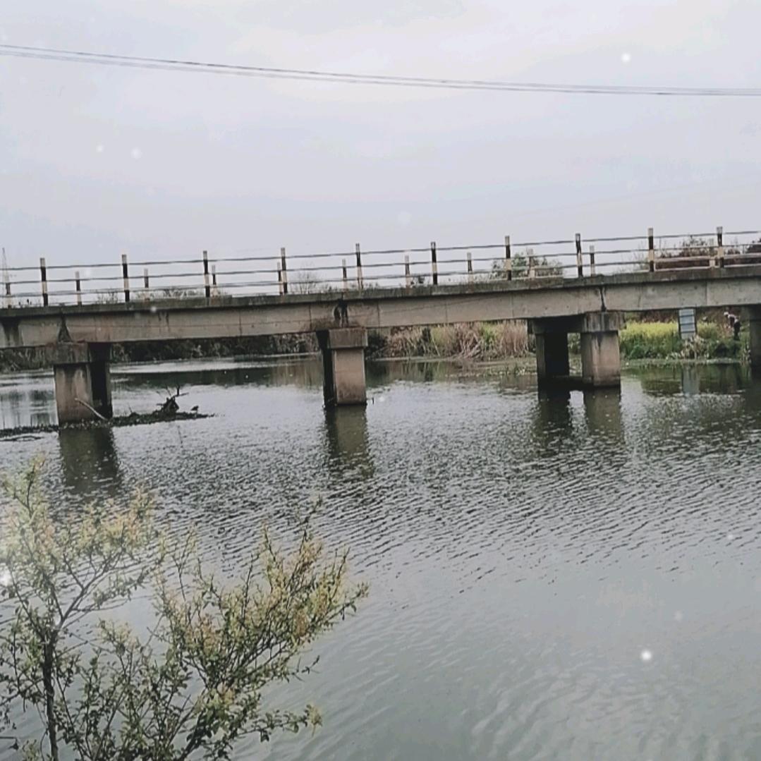 星客